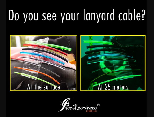 FreeXperience 安全繩 Lanyard Aluminium 90cm